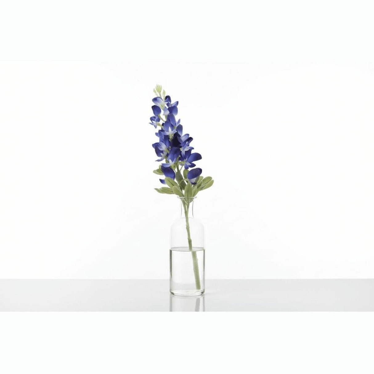 18" Blue Bonnet Spray Stem