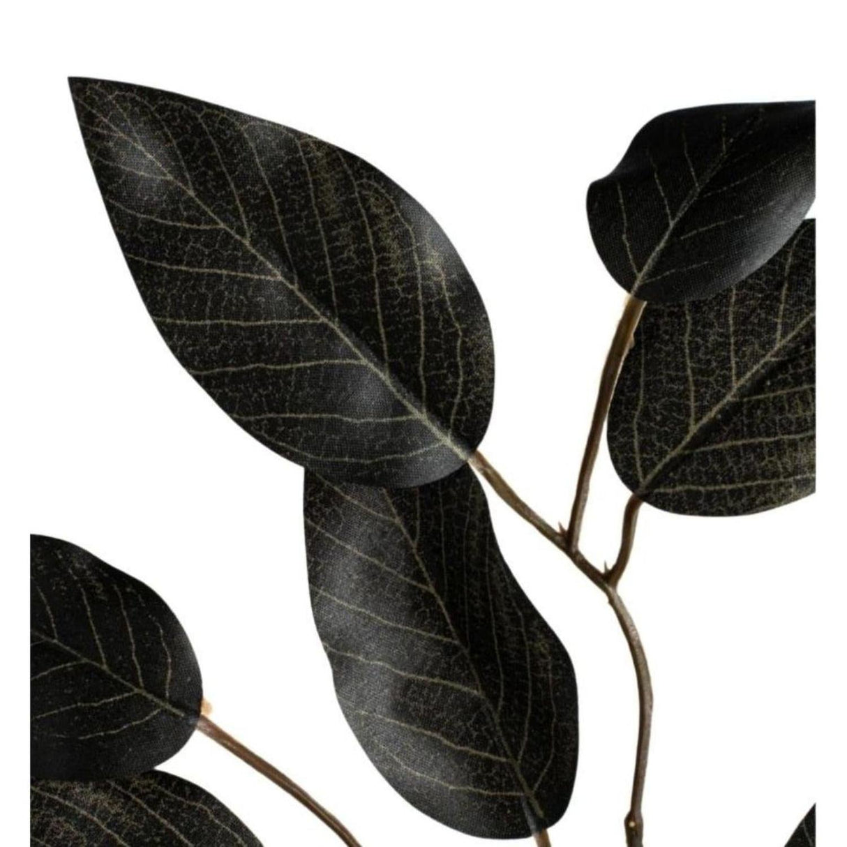 23" Silk Ficus Spray: Black (Set of 12)