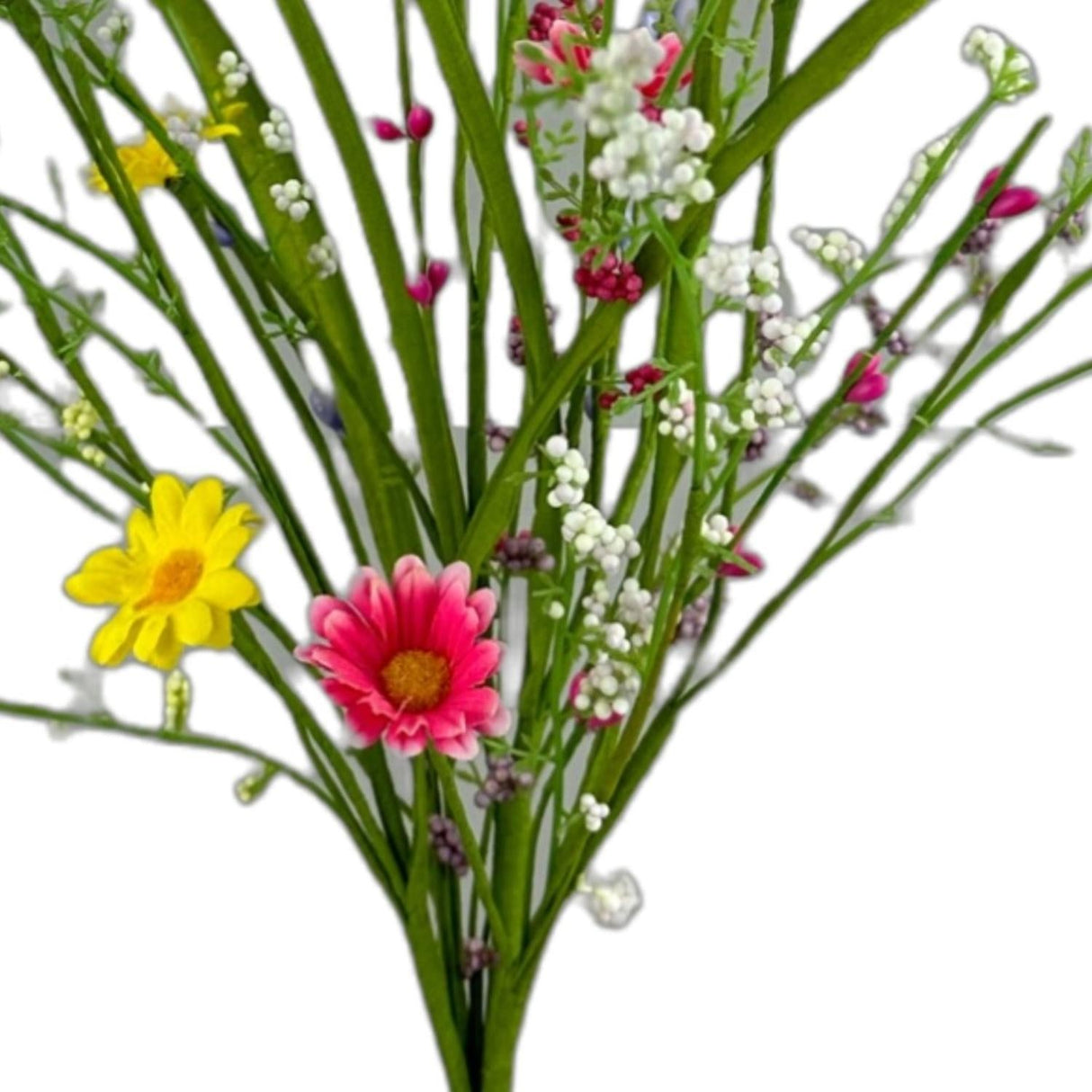 24" Daisy Pick