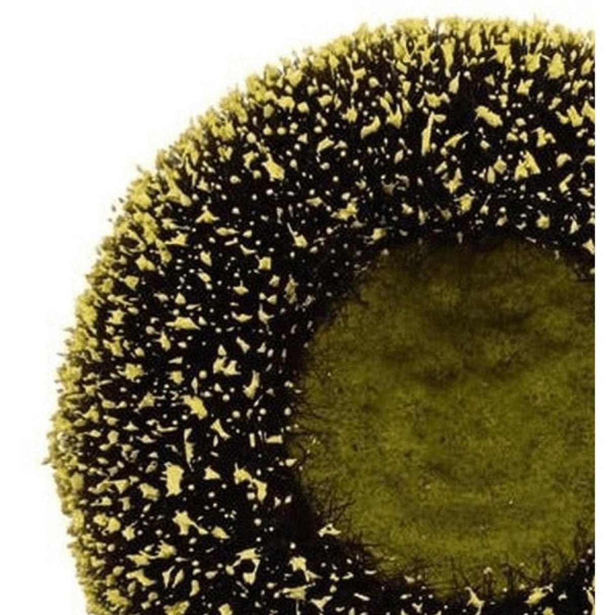 5" Sunflower Flower Center: Yellow/Black