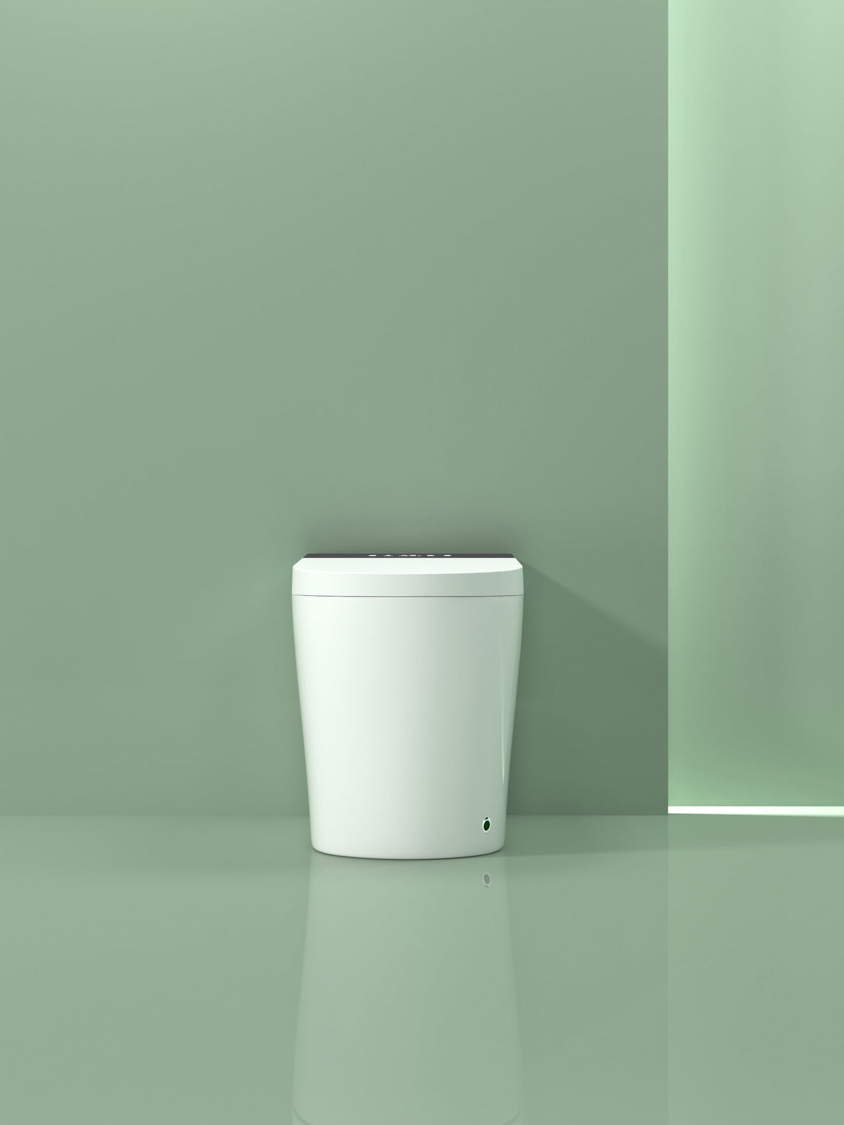 Compact Smart Toilet with Built-in Bidet Seat and Modern Tankless Design