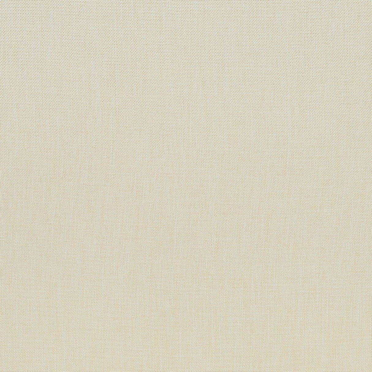 Dining Chair, Upholstered, Dining Room, Transitional (Set of 2) - Cream