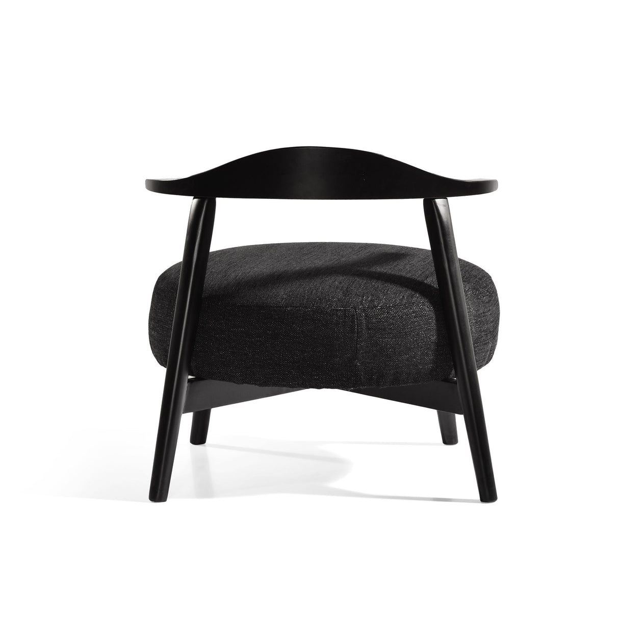 Modern Living Room Upholstered Accent Chair