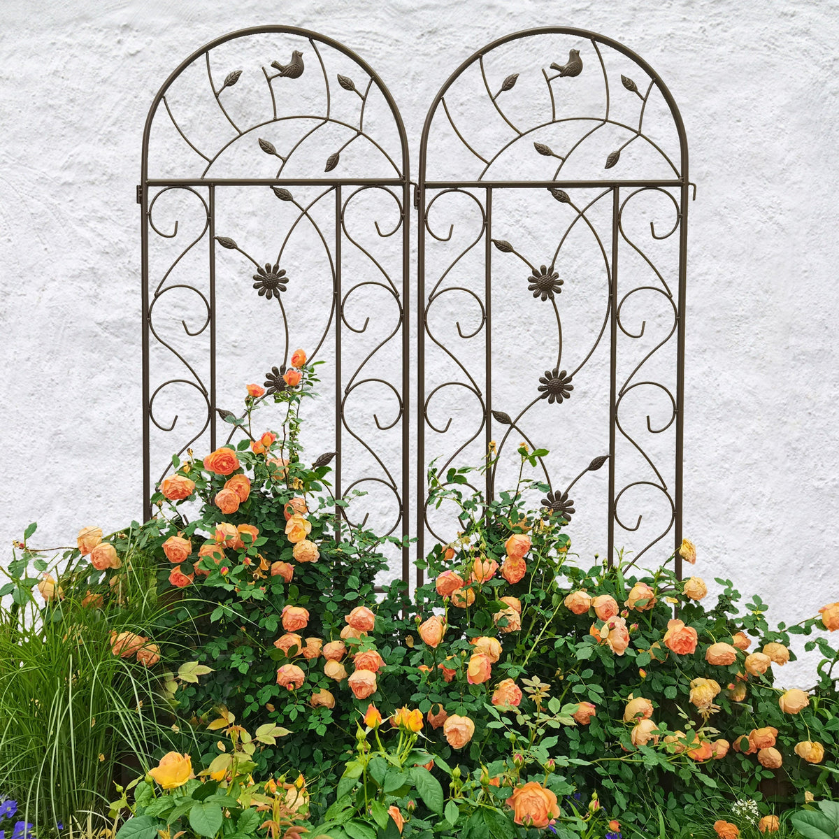Rustproof Metal Garden Trellis Set with Reliable Plant Support - Brown
