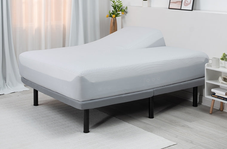 BedGear Dri-Tec Split-Head Queen Mattress Protector