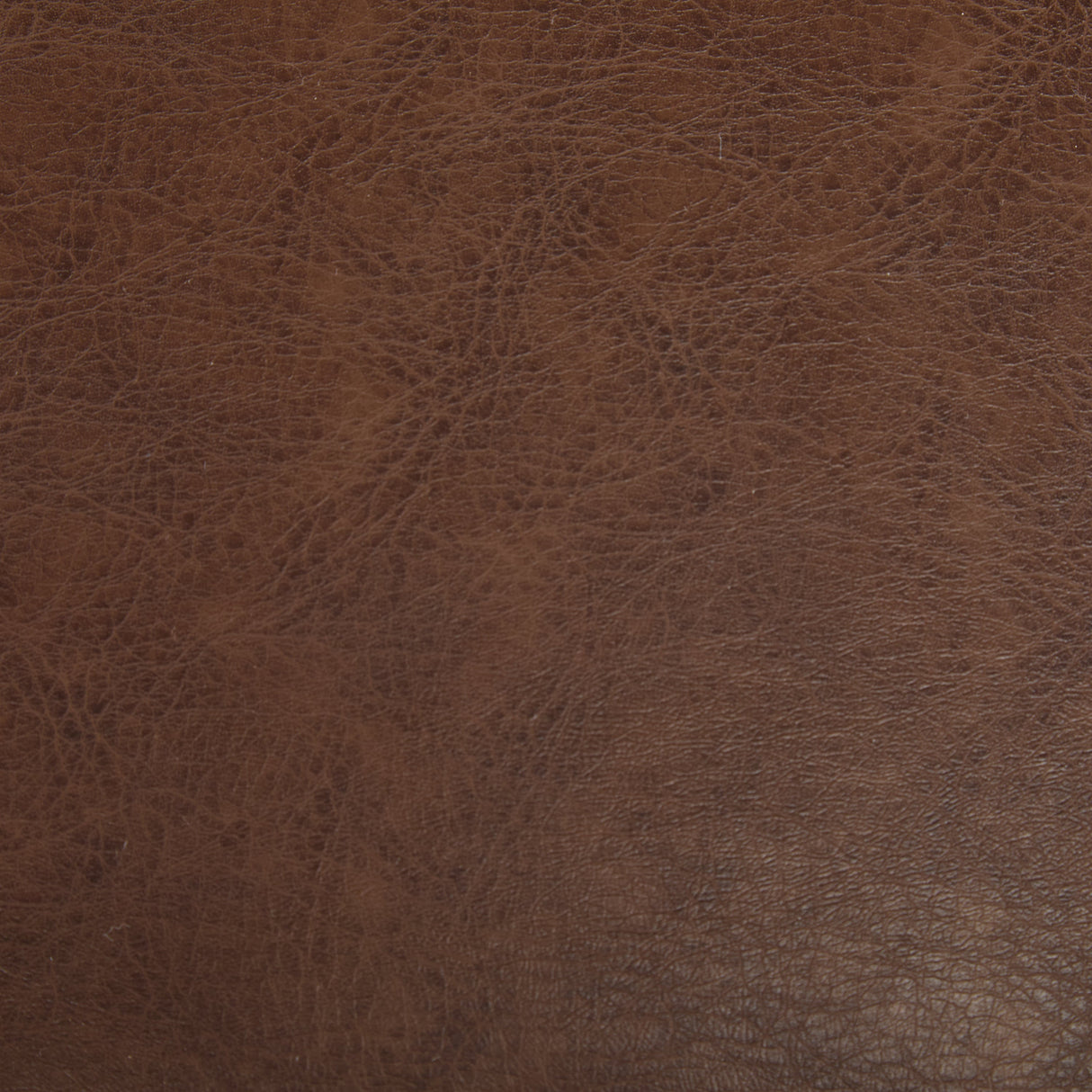 Fielding Mid-Century Modern Dining Chair, Set of 2