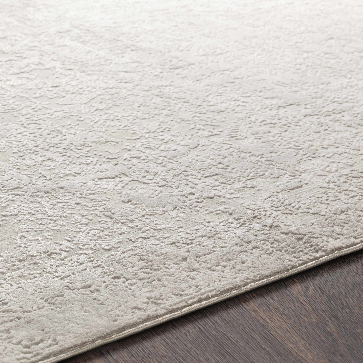 Canaseraga Area Rug - Clearance