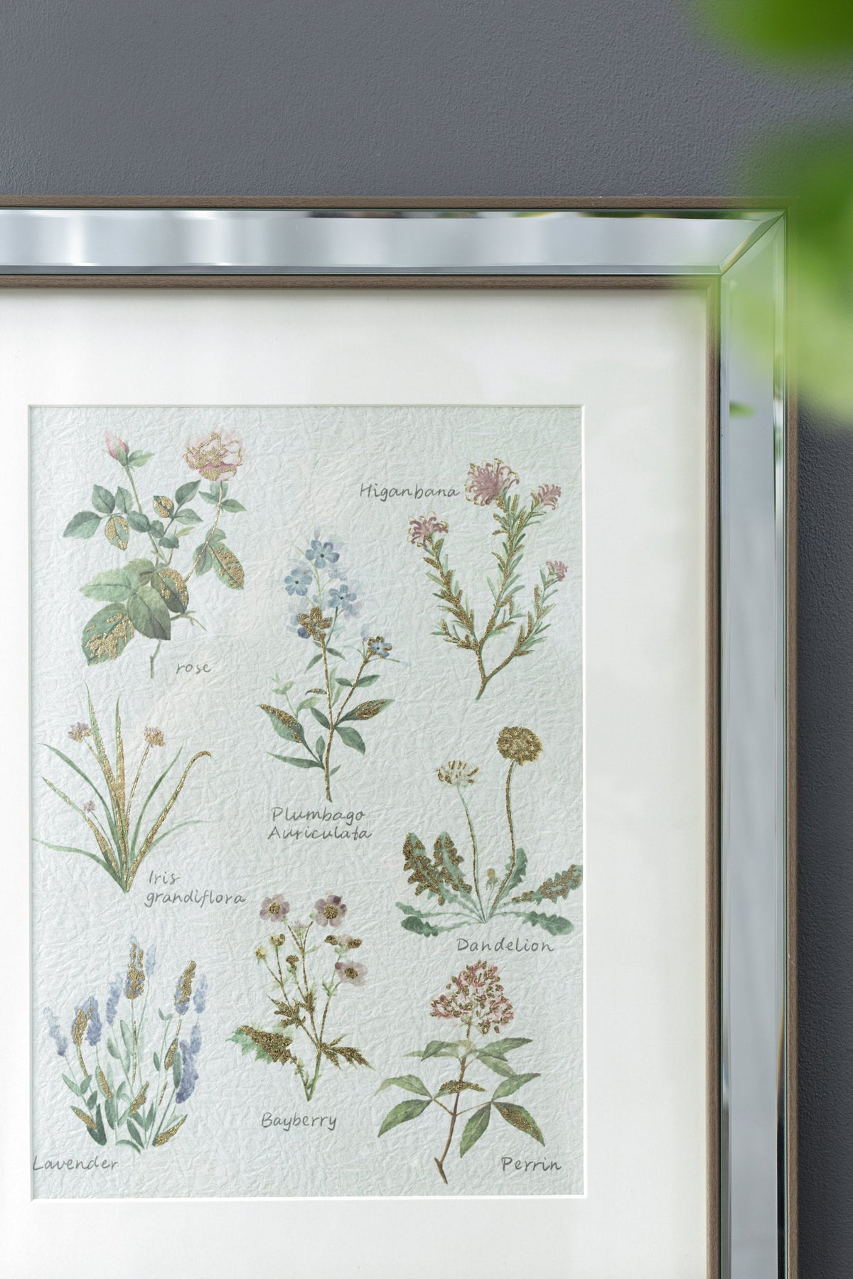 Liana Mirror Framed Wall Art Set with Botanical Designs - Golden Tint