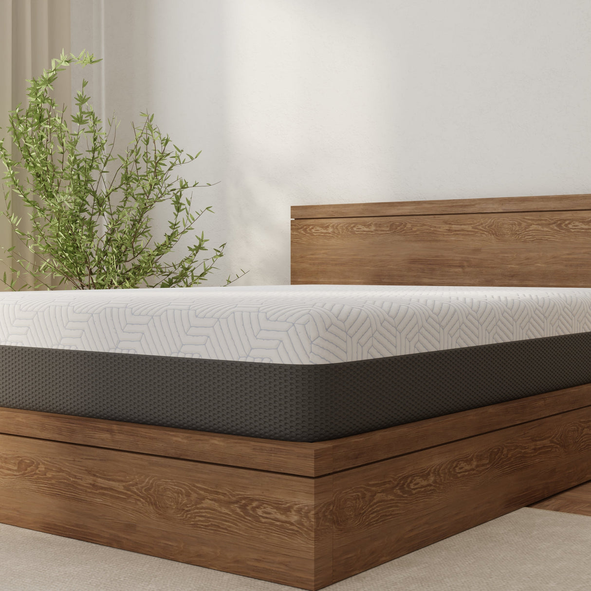 Omne Fria 12 Inch Queen Soft Mattress With Cooling Cover