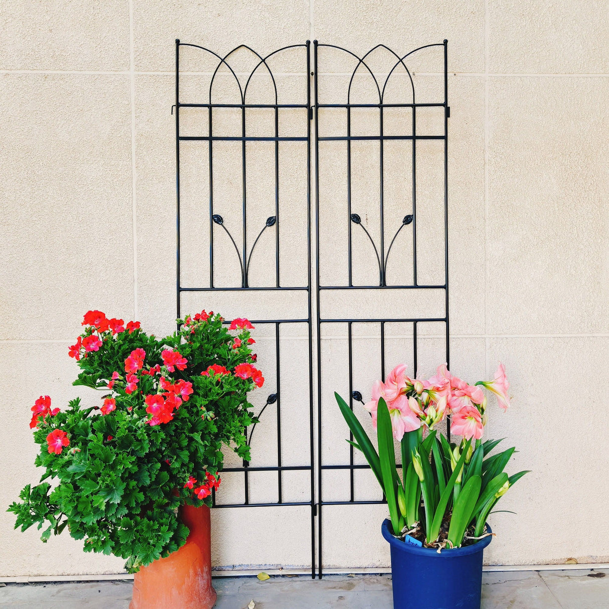 Metal Garden Trellis Rustproof For Climbing Plants Outdoor Flower Support