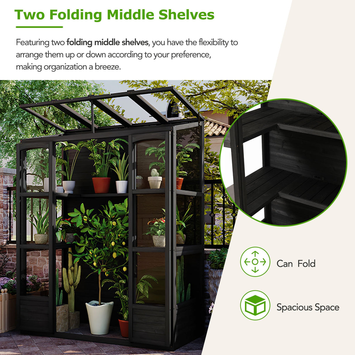 TOPMAX 78-inch Wooden Walk-in Greenhouse with Skylights and Folding Shelves
