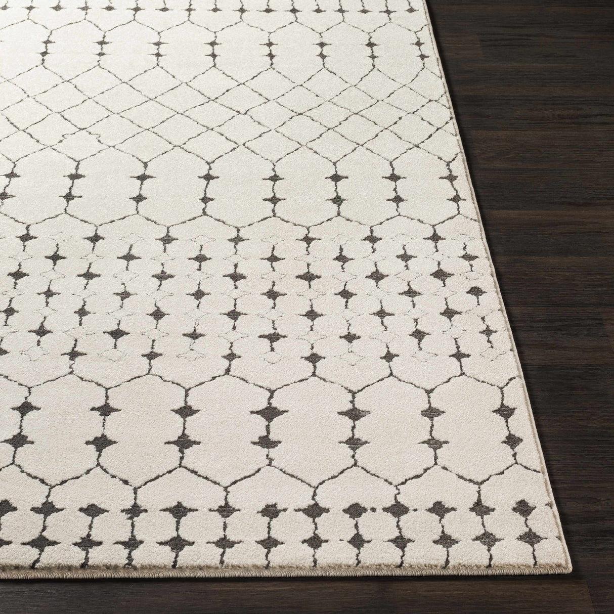 Chubbuck Moroccan Trellis Rug - Clearance