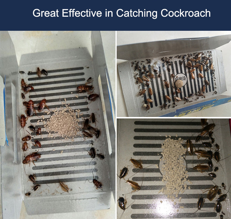 Cockroach Glue Trap House 10pcs – Strong Bait Boards