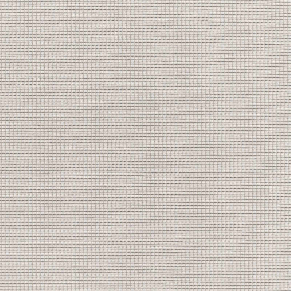 Currimundi Area Rug - Clearance