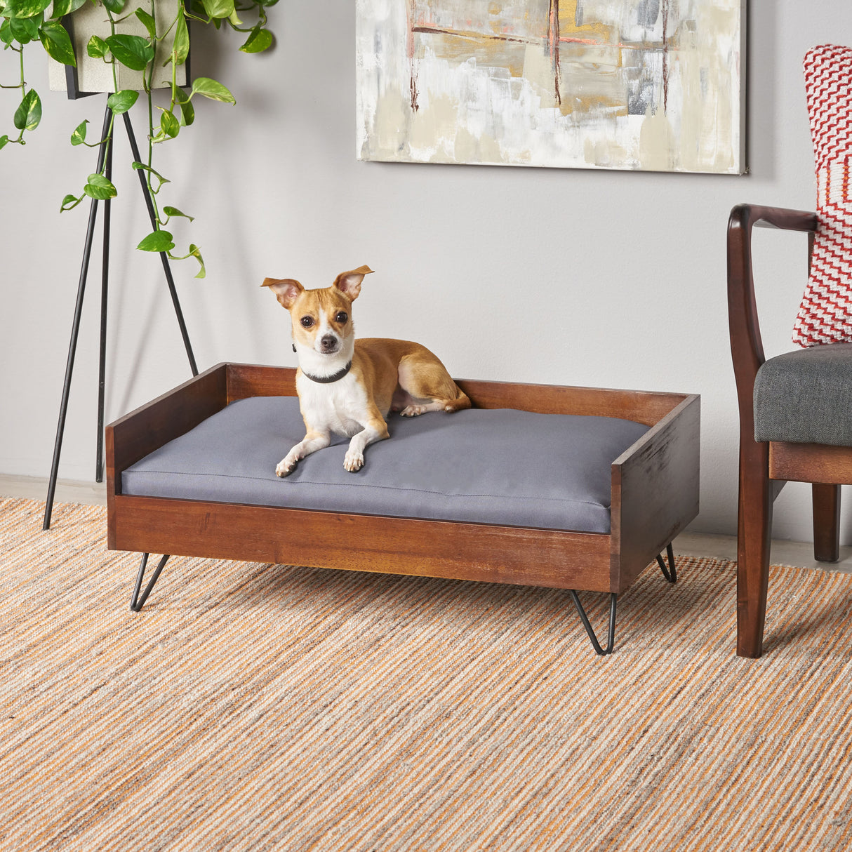 Acacia-Wood-Dog-Bed-with-Sleek-Hairpin-Legs-Pet-Bed