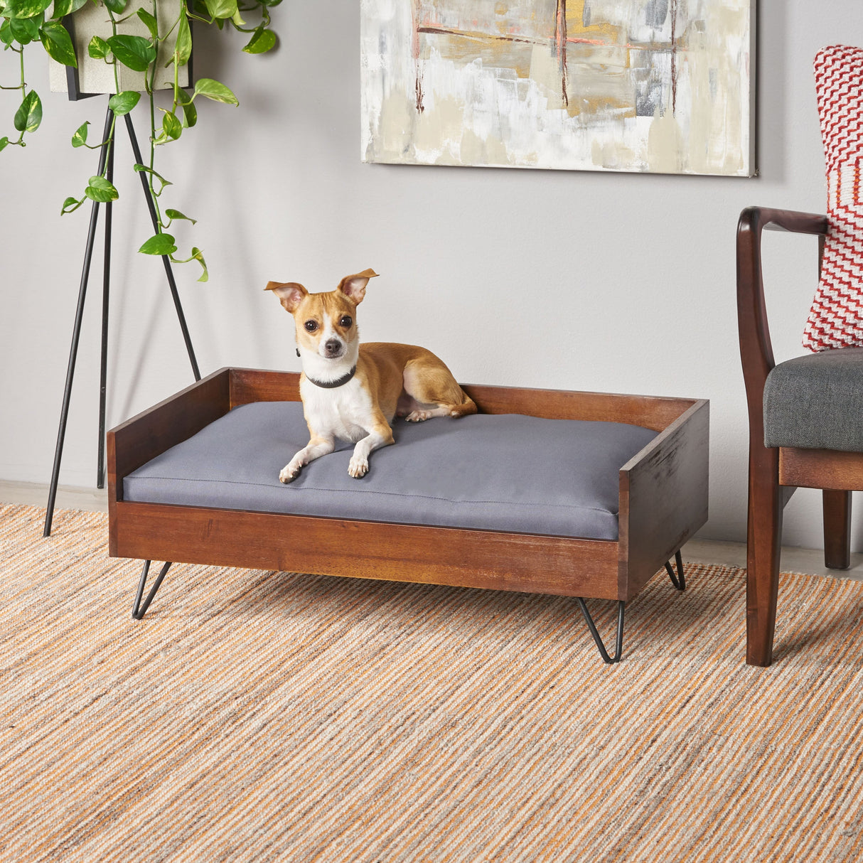Acacia Wood Dog Bed with Sleek Hairpin Legs