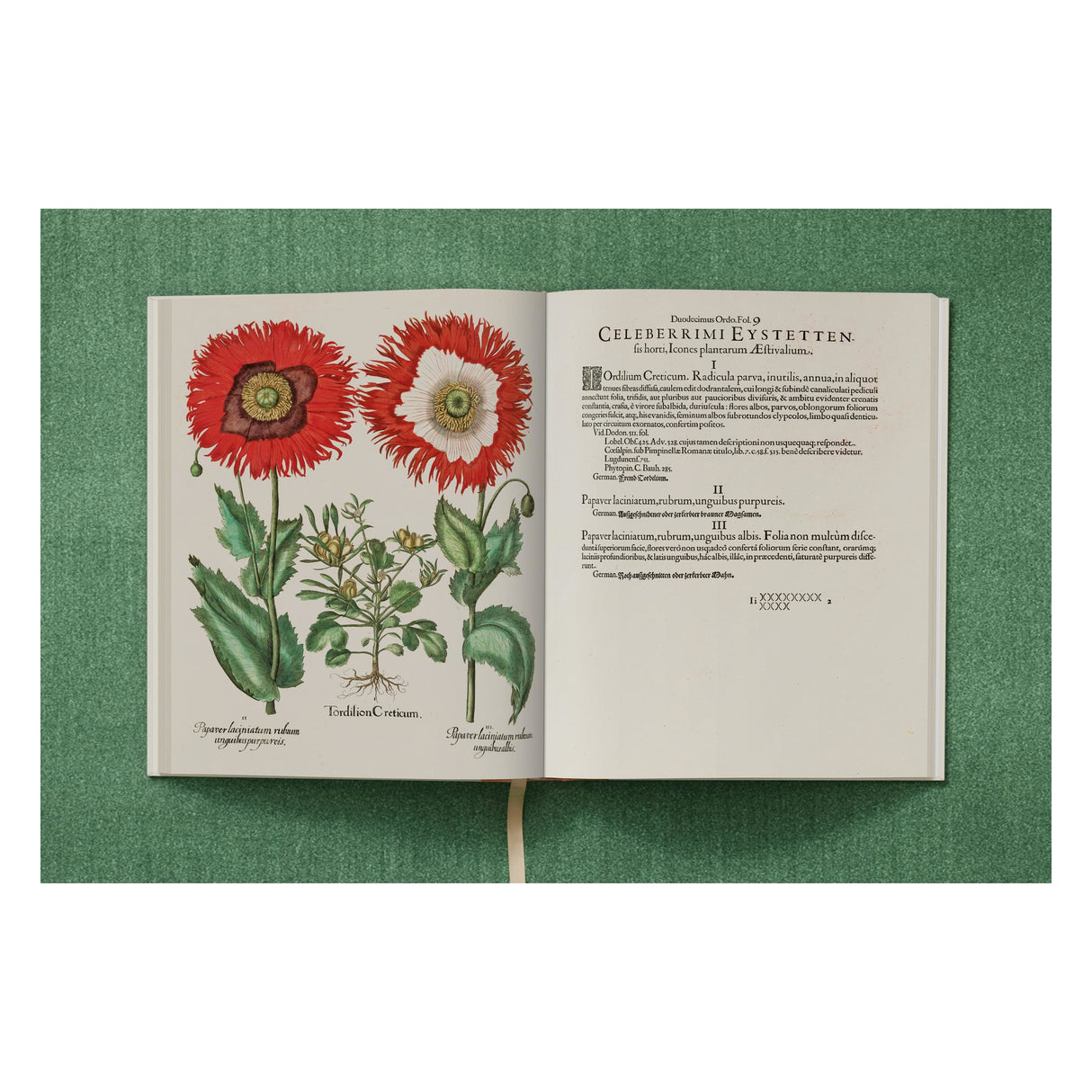 Basilius Besler. The Garden at Eichstätt (German, French, English) (FFE)