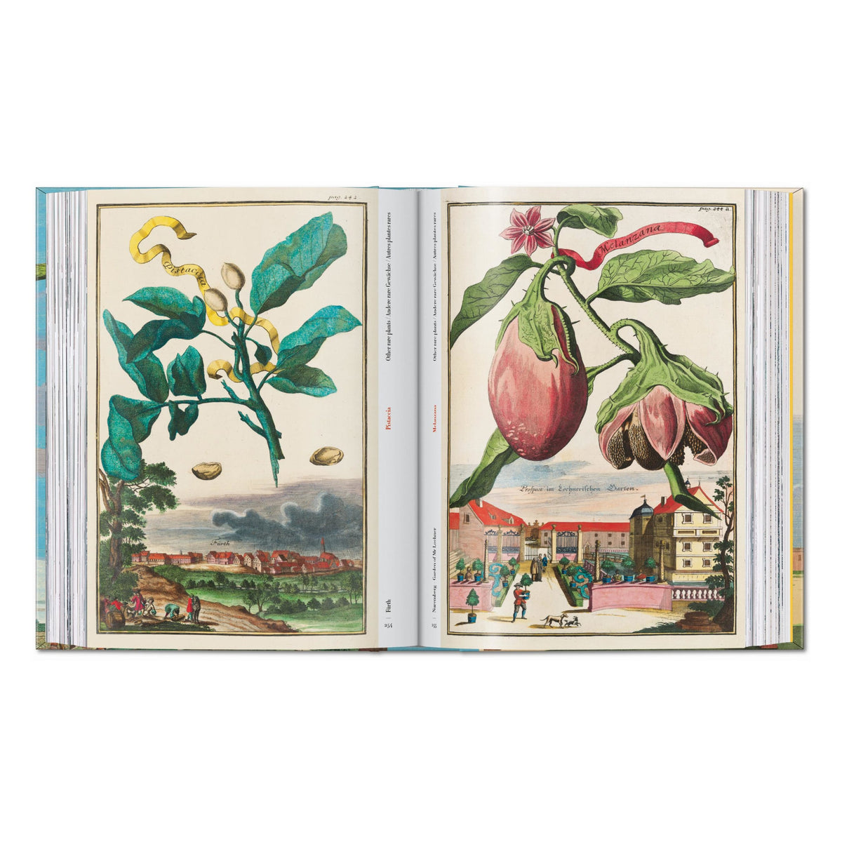 J. C. Volkamer. The Book of Citrus Fruits. 45th Ed. (German, French, English)