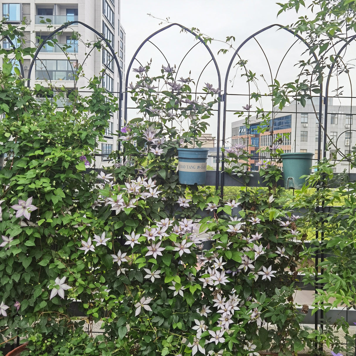 4 Pack Metal Garden Trellis