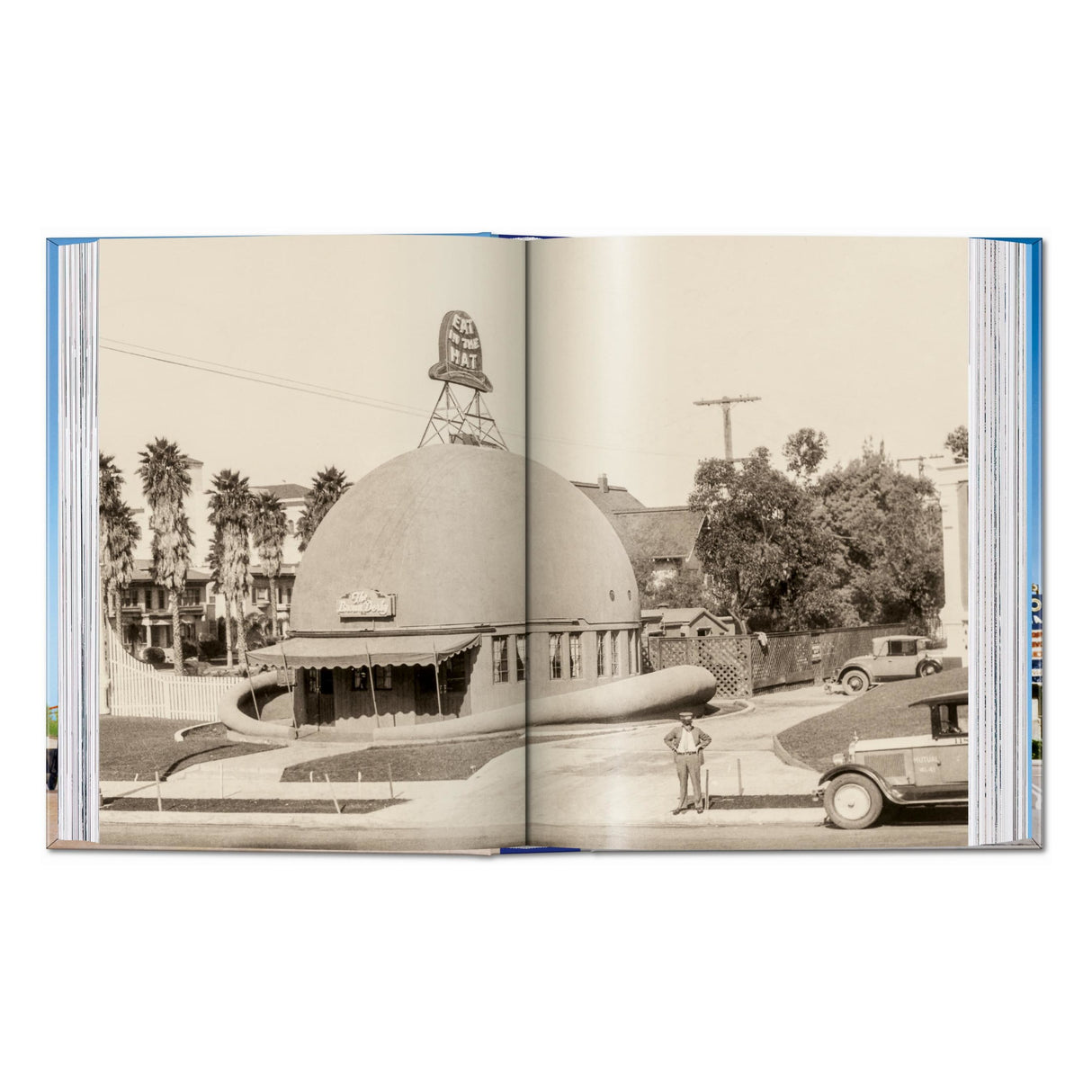 California Crazy. American Pop Architecture. 45th Ed. (English)