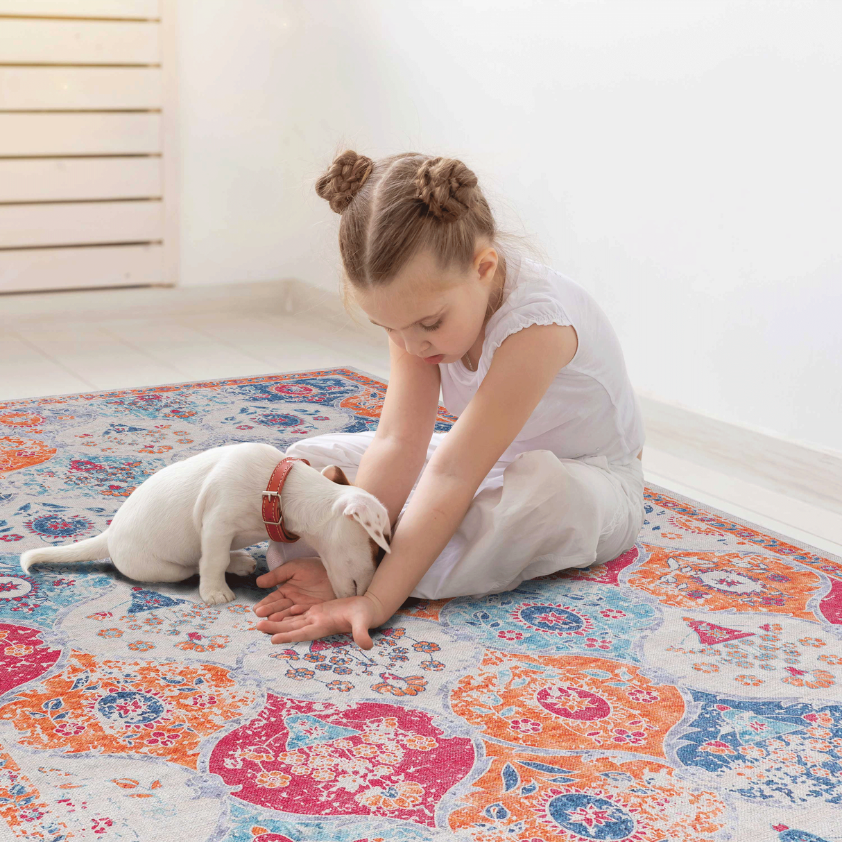 Naar Washable Area Rugs, Low-Pile, Non-Slip, Non-Shedding, Foldable, Kid & Pet Friendly