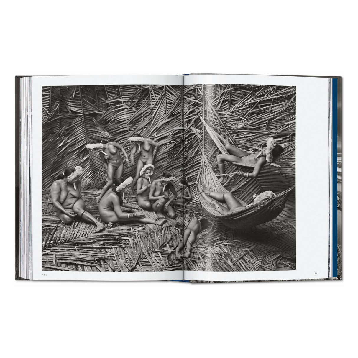 Sebastião Salgado. Amazônia. 45th Ed. (English)