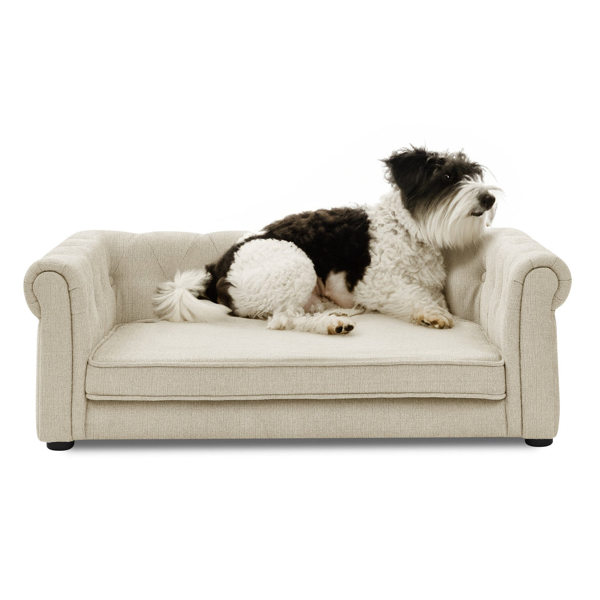 Modern Elegant Rectangle Pet Bed - Durable Elevated Dog Sofa in Beige