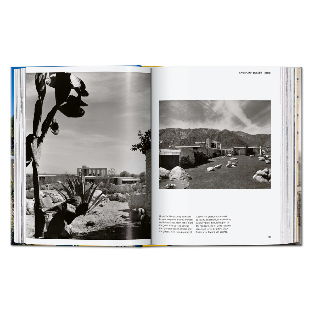Neutra. 45th Ed. (English)