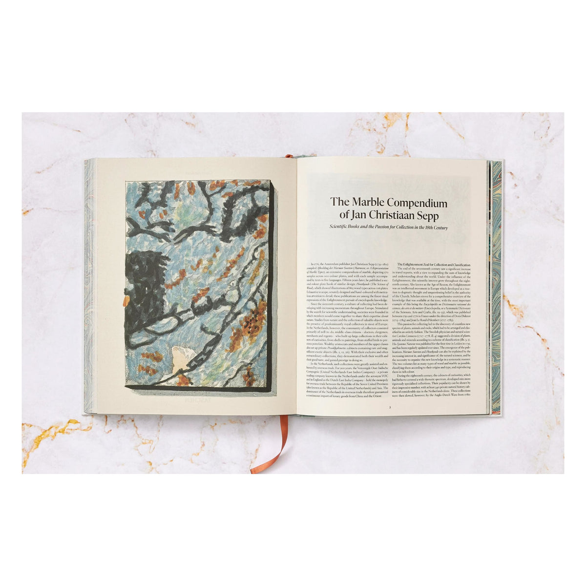 Jan Christiaan Sepp. The Book of Marble (German, French, English) (FFE)