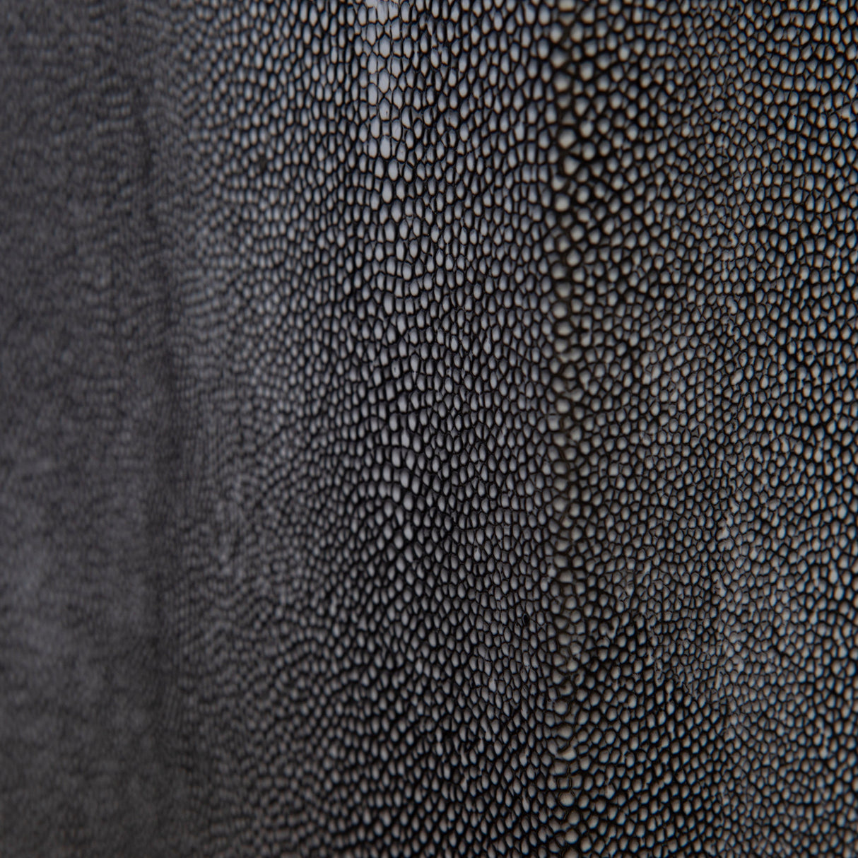 Lavano Table Lamp with Shade