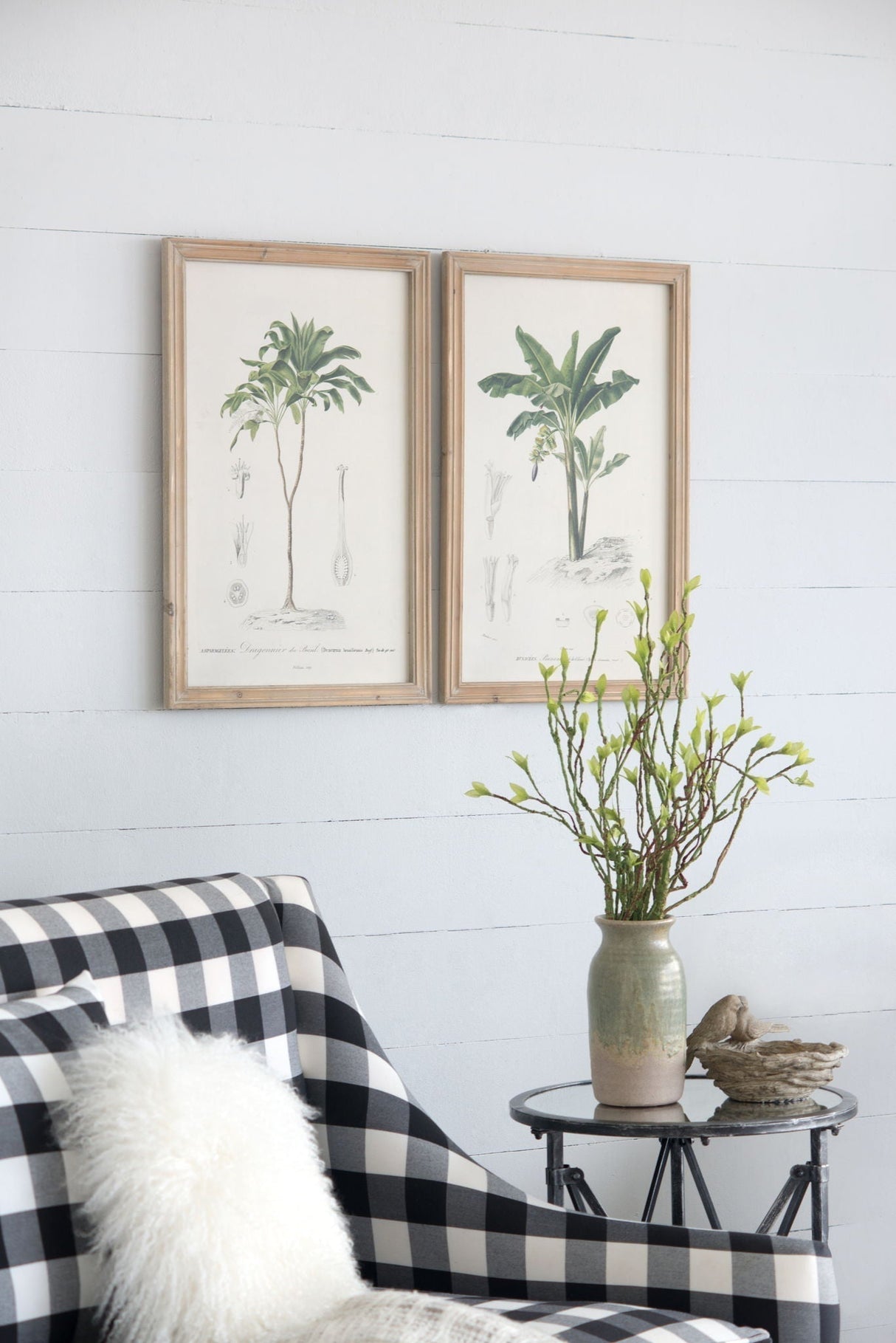 Tree Framed Print Set of 2 - Multicolor Botanical Wall Art