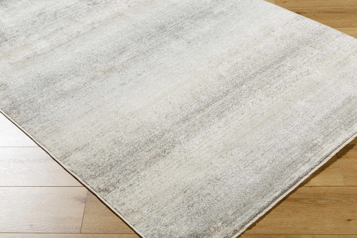 Uzima Gray Area Rug - Clearance