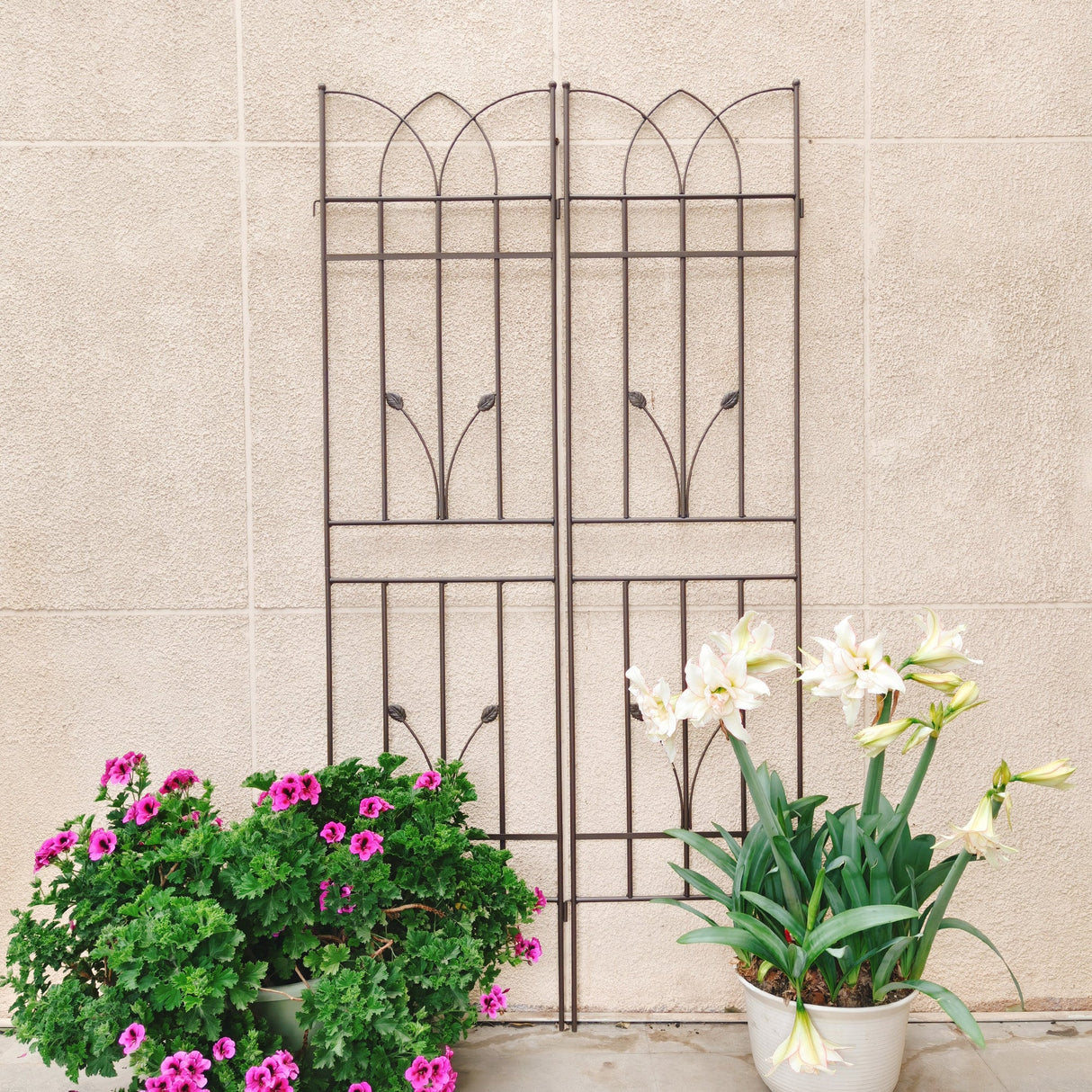 4 Pack Metal Garden Trellis