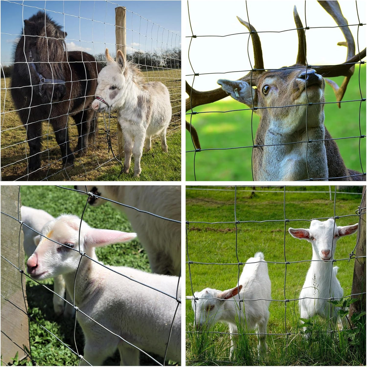 Farm Fence 5ft x 164ft 14 Gauge Heavy Zinc Coating Cattle Fence