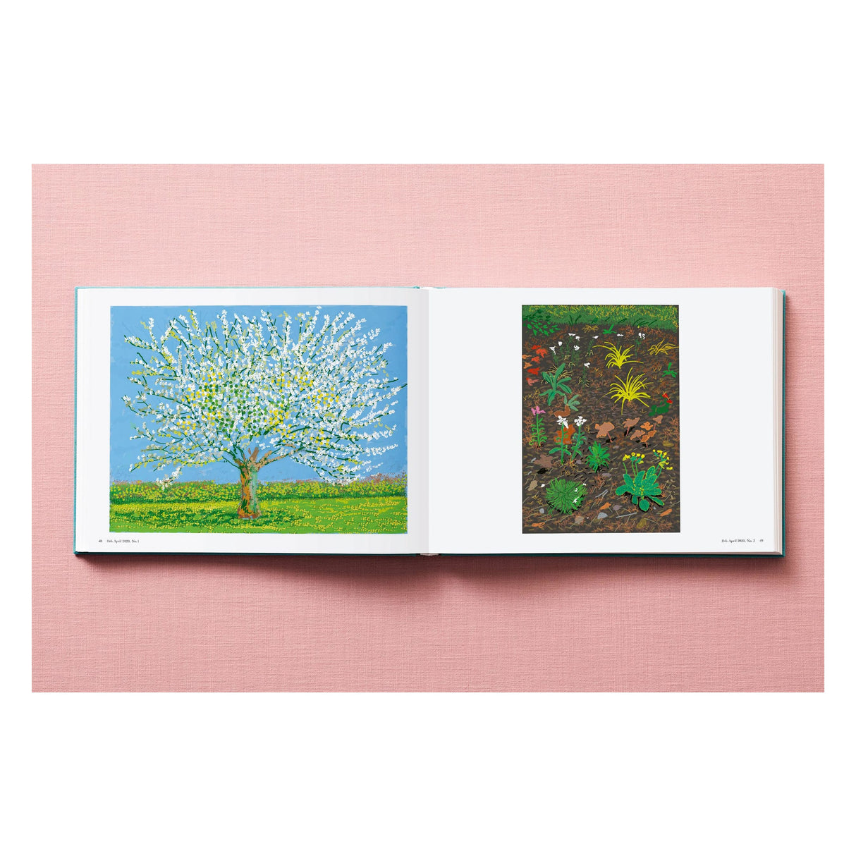 David Hockney. 220 for 2020 (English)