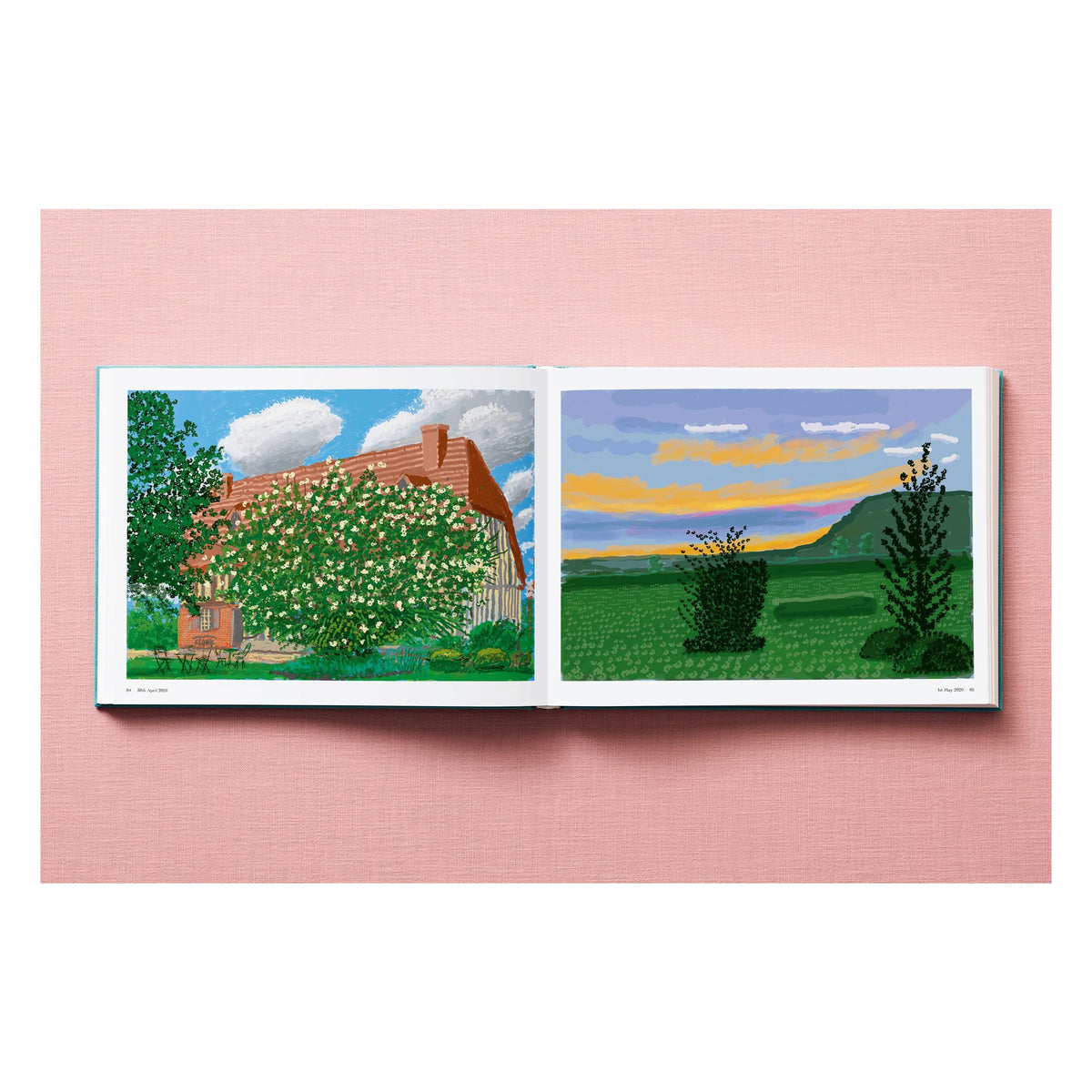 David Hockney. 220 for 2020 (English)