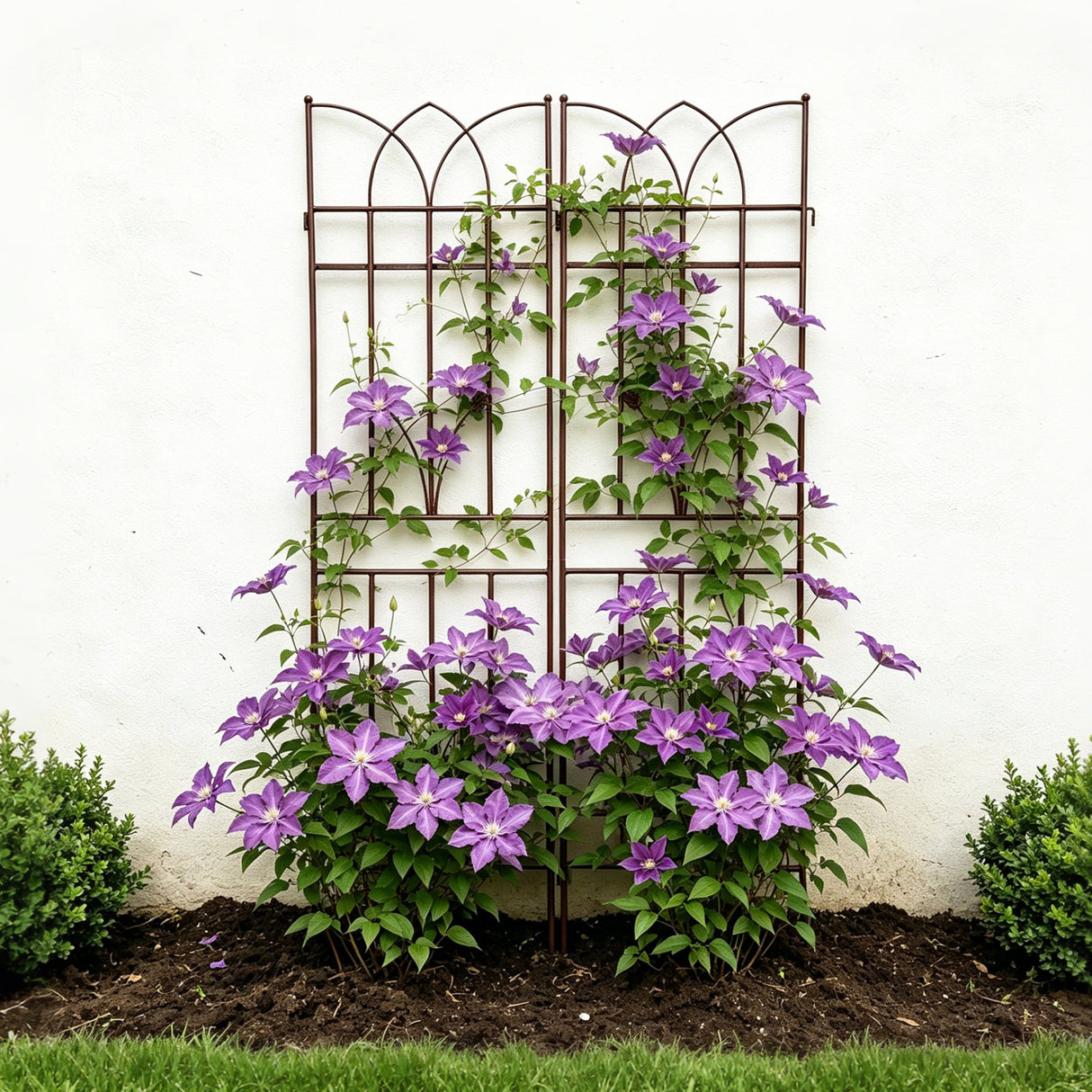2 Pack Metal Garden Trellis