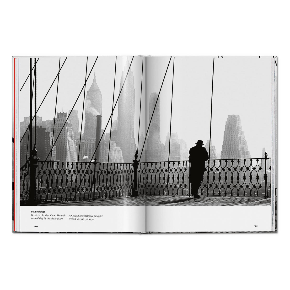 New York. Portrait of a City (English)