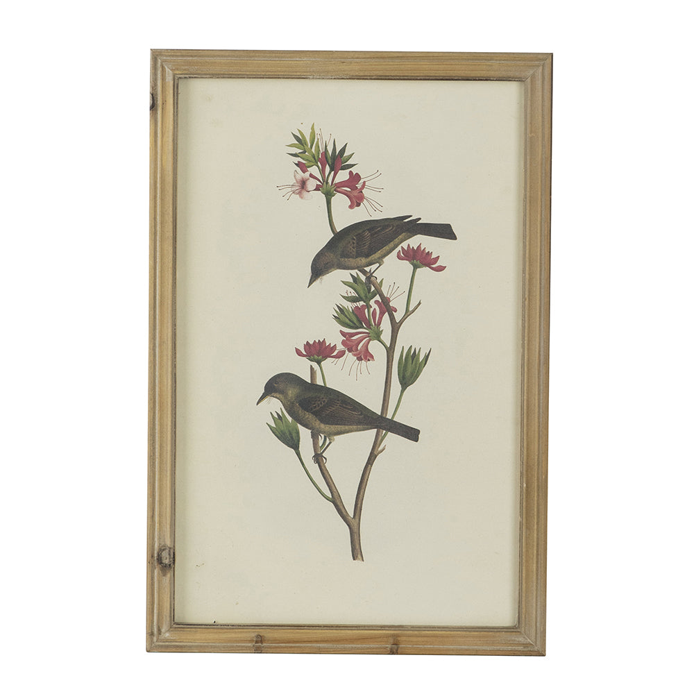 Set of 4 Bird Framed Prints