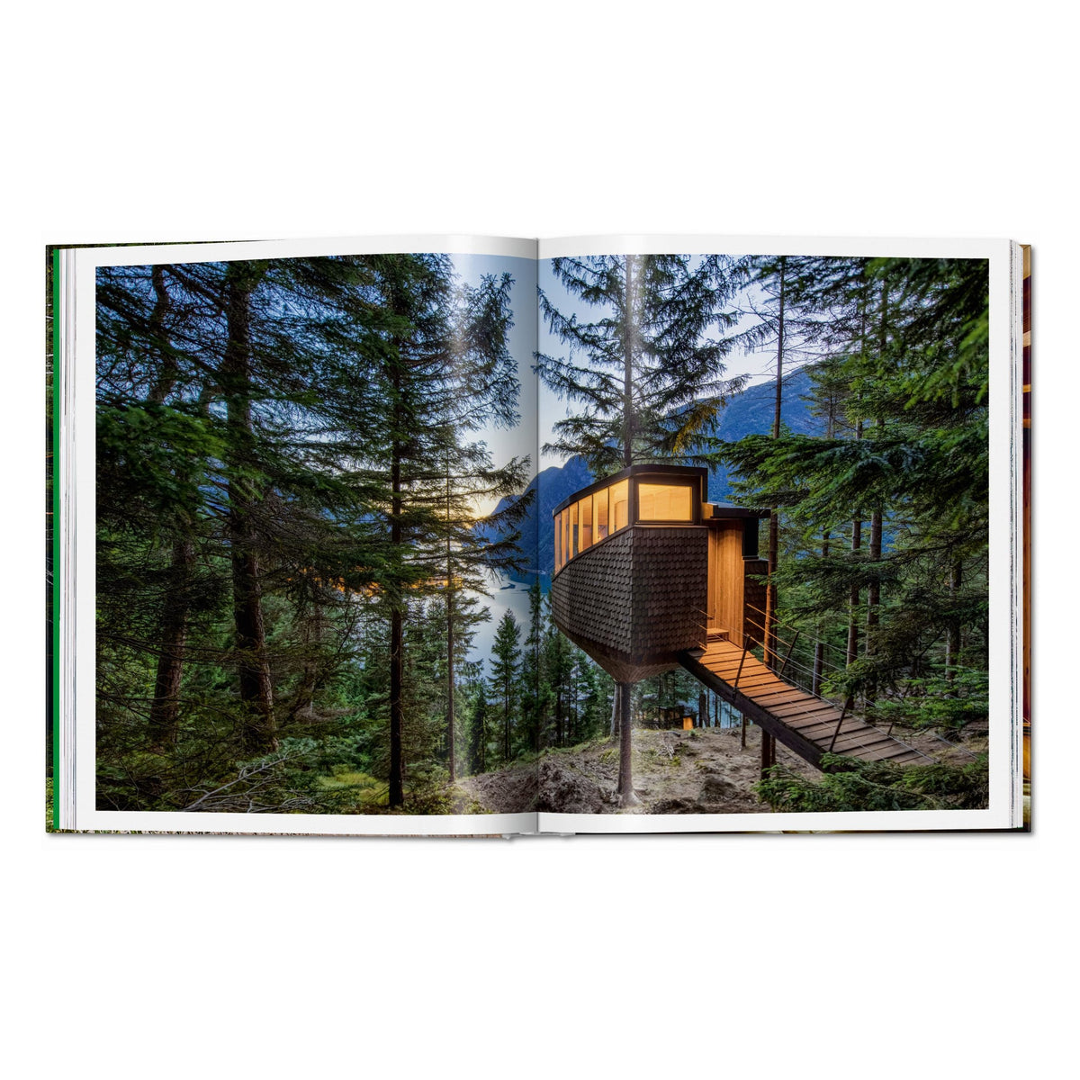 Modern Tree Houses (English)
