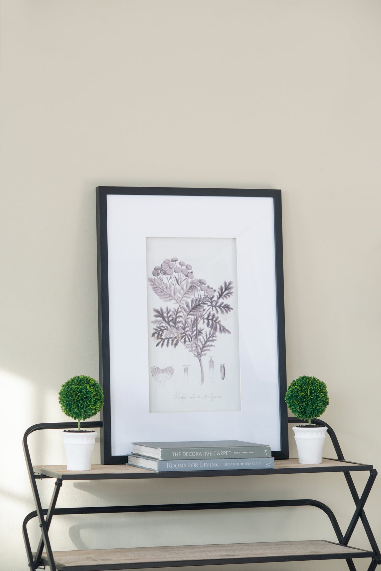 Verdura Botanica: Four-Print Houseplant Pencil Art Set