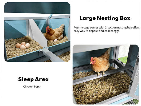 141" Large Wooden Chicken Coop with Nesting Box and Wire Fence - Blue-Gray