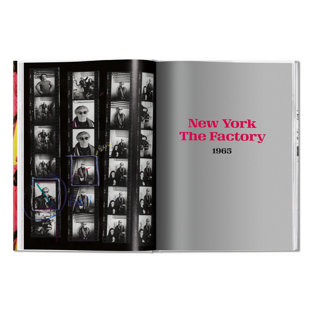 Steve Schapiro. Andy Warhol and Friends (English)