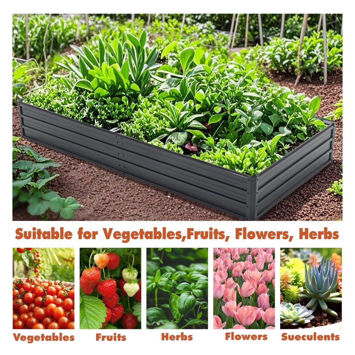 Galvanized Raised Garden Beds Outdoor 8×4×1 Ft Planter