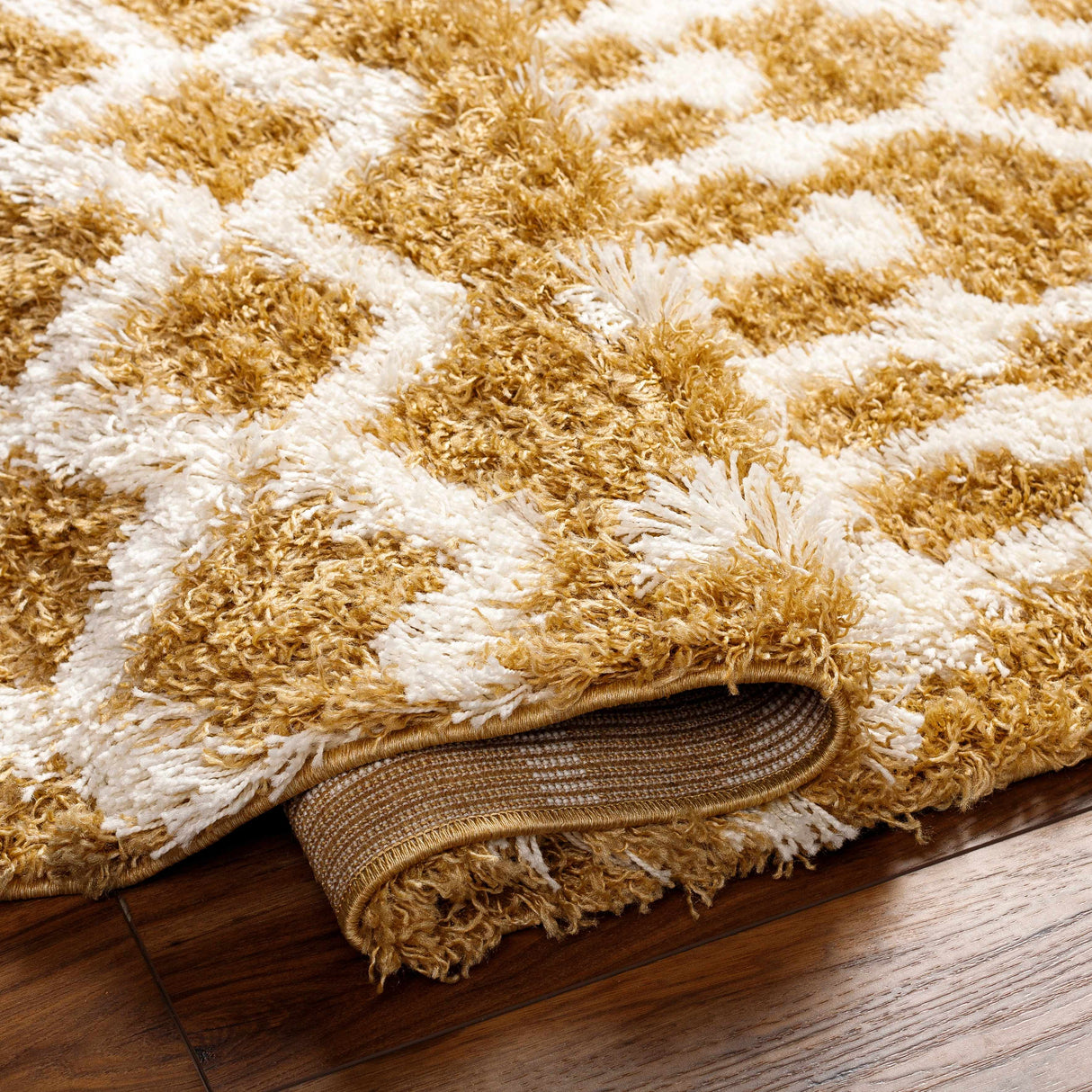 Evely Shag Area Rug