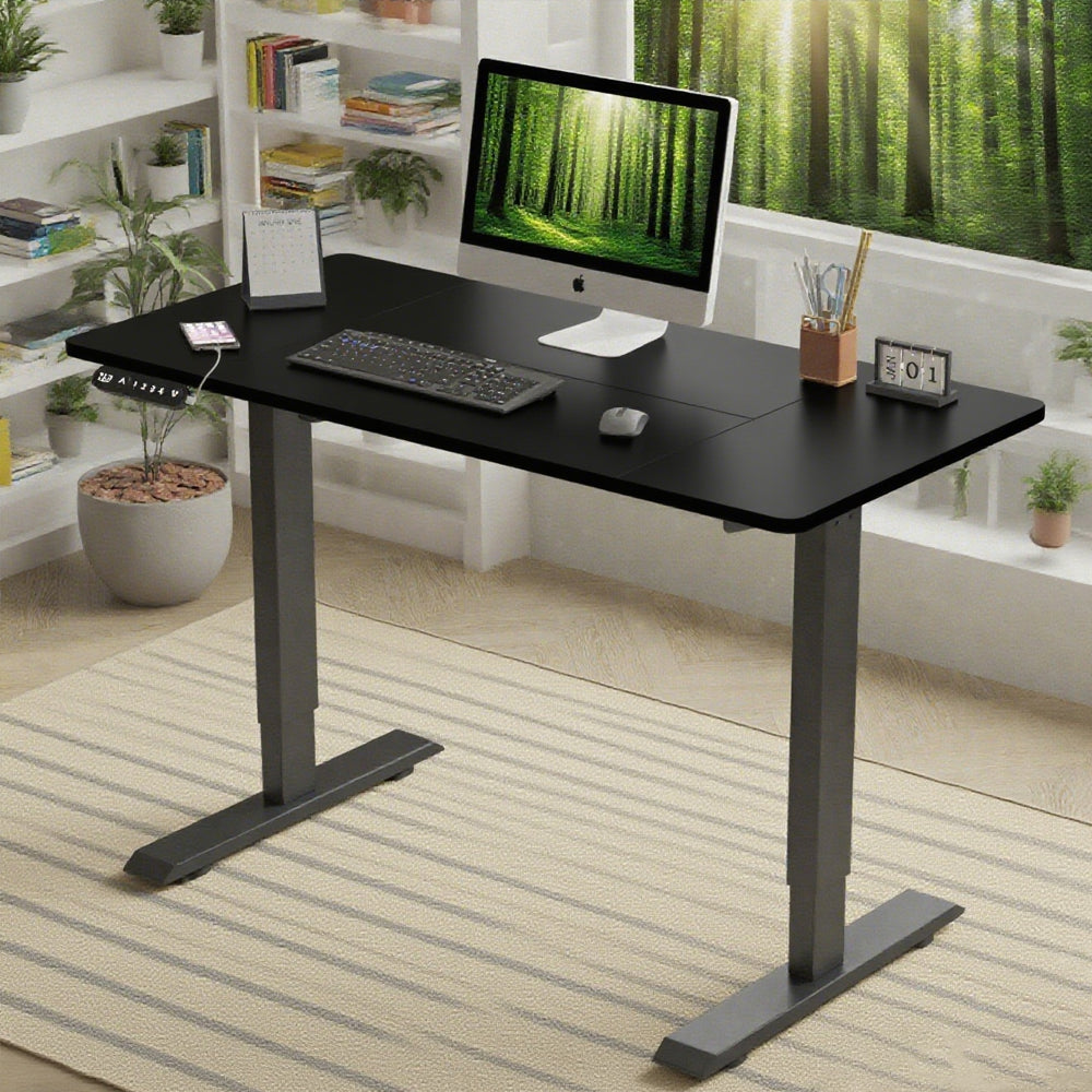 Polaris Electric Standing Desk - 55"×24"