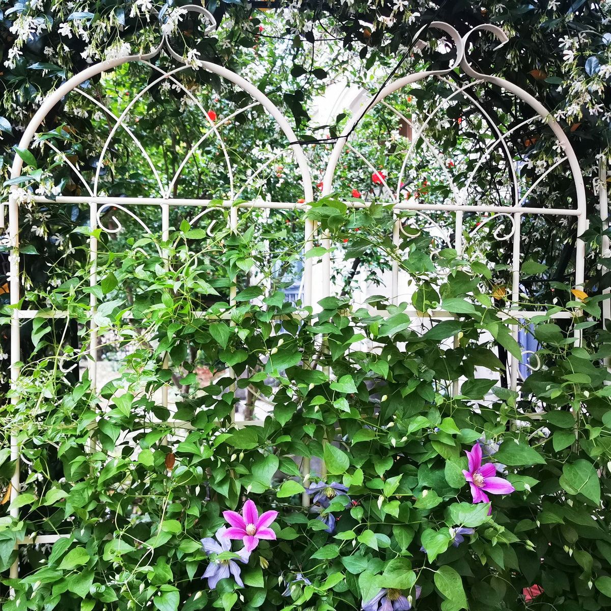 Metal Garden Rustproof Trellis For Climbing Plants Outdoor Flower Support