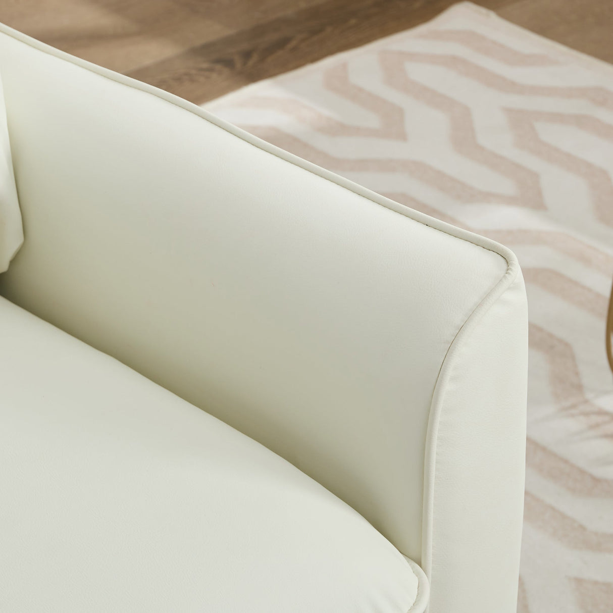 TS Cat Paw Leather Upholstered Sofa 2PC