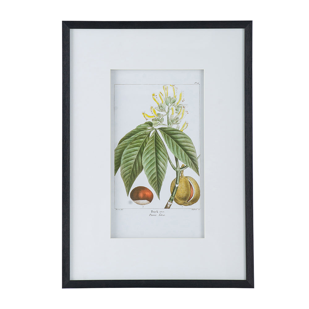 19.7x27.6' Botanical Wall Arts, Set of 2