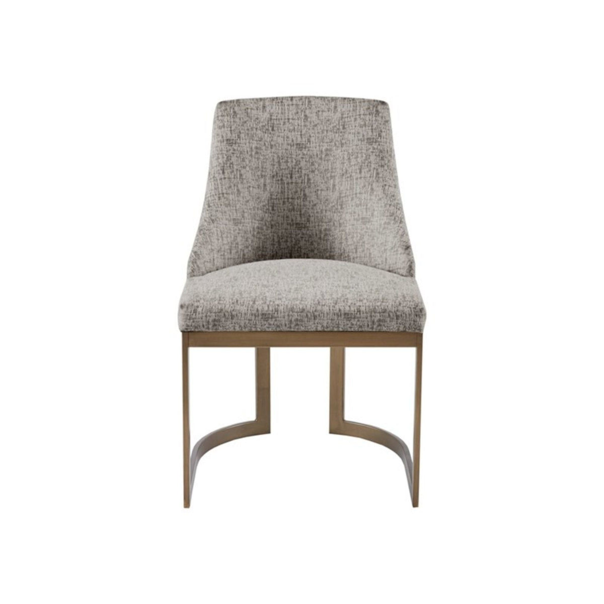 Contemporary Modern Accent Dining Chairs (Set of 2)